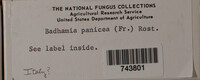 Image Associated With the Occurence